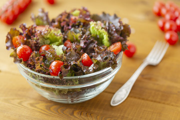 Full bowl of fresh green salad with tomatoes close up. Concept helpful and simple food
