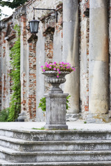 Ruins of 18th century classical palace, manor complex, situated on the Nida River near Jedrzejow,...