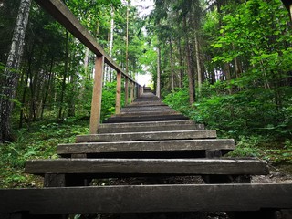 A lot of steps up to a hill