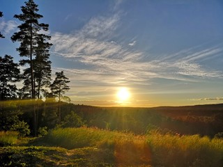 Beautiful sunset over a vast forest from a hill