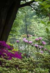 Japanese Garden Wroclaw Poland 