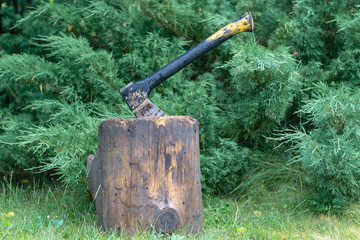 The ax is stuck in a log on a background of a juniper