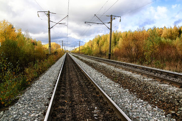 Fototapeta na wymiar Railway in autumn forest