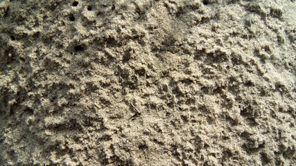 Abstract old sand texture. Sand background