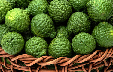 Citrus hystrix, bergamot fruit for herbal medicine