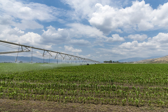 Lateral move irrigation system 