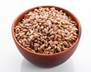 spelt seeds on a white acrylic background