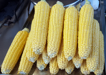 Organic, fresh, sweet corn for sale at a local farmers market