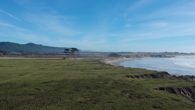 Slow aerial shot of two beautiful trees along the coast, eventually panning over to beach and ocean near sunset.