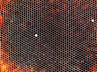 Background hexagon texture, wax honeycomb
