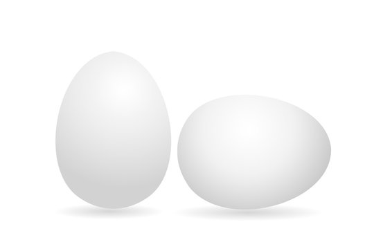 Egg. White 3D egg chicken. Isolated on white background. Vector