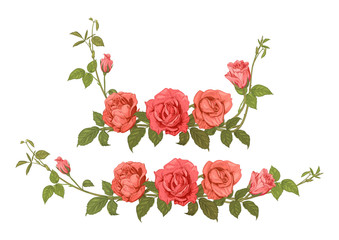 Naklejka premium Two horizontal borders of roses. Panoramic view bouquets: branches with pink, red flowers, buds, green leaves, white background. Illustration in engraving vintage sketch style, vector
