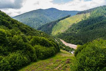 The mountain range is covered with dense thickets of trees and shrubs between which a stormy river flows