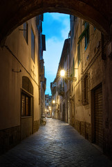 Beautiful street in Florence, Tuscany, Italy. Architecture and landmark of night Florence.