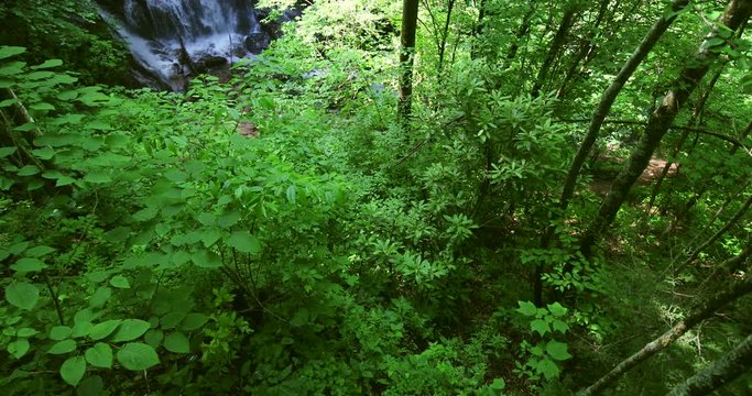 Beautiful waterfall in Great Smoky Mountains National Park