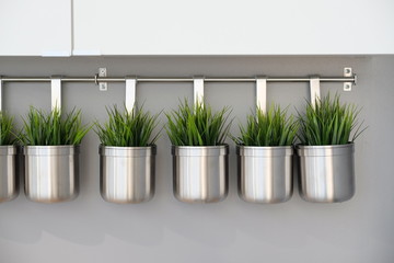 Fresh green grass in metal pots. Decorative landscaping. Artificial herbs for the kitchen.