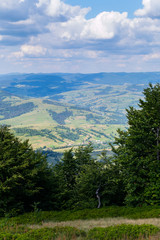 Juicy green trees and a valley in the distance. Perfect background for photos
