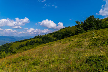 Fototapeta premium grassy descent from a high hill with rare green trees on a blue sky background in carpathians