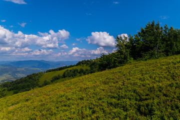green slope of the mountain with a fantastic vegetation against the background of clouds in the sky