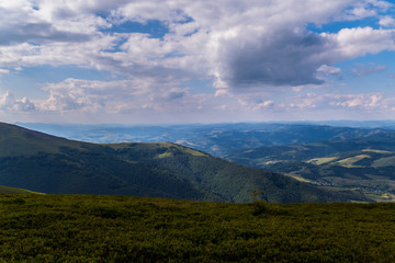 Endless gently sloping mountain ranges with a huge number of green tall trees