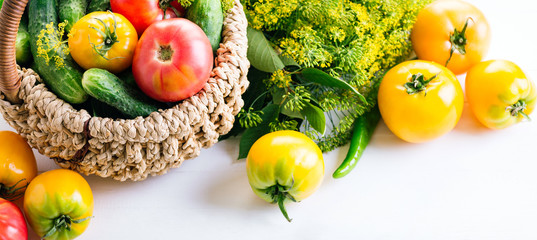 Vegetables In Basket On The White Background Yellow Tomatoes Pepper Cucumbers Dill Banner