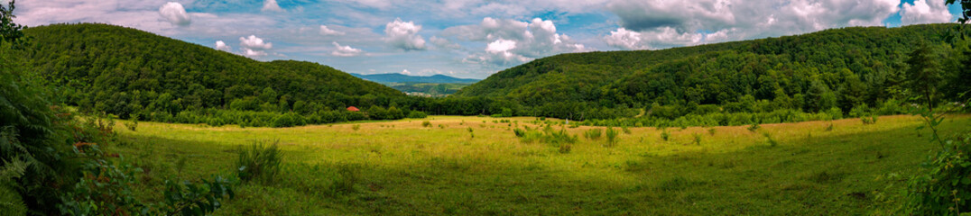 Fototapeta premium A picturesque panorama of a green valley between wide slopes with a red roof of a rural house, seen through the trees.