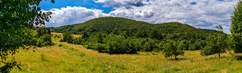 Fototapeta na wymiar mountain, covered with green trees, under a blue sky with clouds