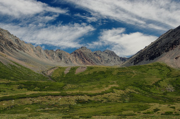 Mountain valley with green grass and ranges of  hills rocks on a horizon skyline under blue sky Altai Mountains Siberia Russia