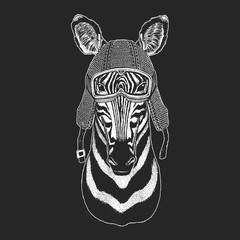 Zebra Horse. Vintage motorcycle hemlet. Retro style illustration with animal biker for children, kids clothing, t-shirts. Fashion print with cool character. Speed and freedom.