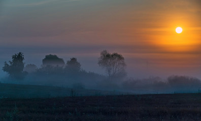 Colorful sunrise over the field with trees, shrouded in the morning gray mist
