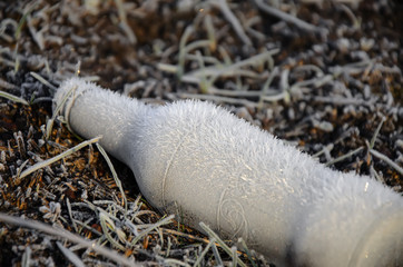 The thrown out glass bottle covered with hoarfrost lies on the ground, surrounded by dry grass, late autumn
