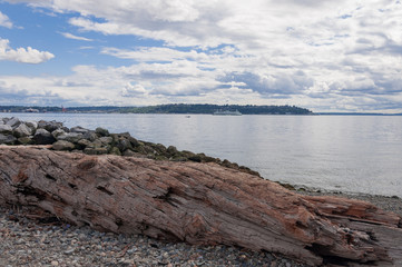 Puget Sound traffic