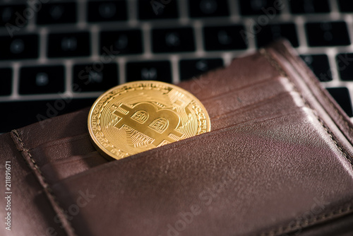 Virtual Currency Wallet Bitcoin Gold Coin Cryptocurrency Concept - 