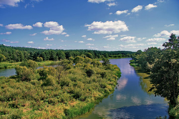 Fototapeta na wymiar A beautiful landscape of a green island on two sides that bends around a river with a growing forest on the shore against a blue sky with clouds.