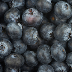 Surface coated with the blueberries