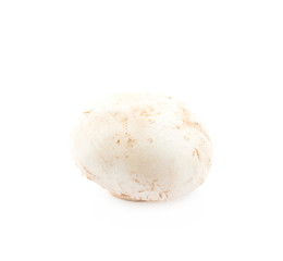Raw champignon composition