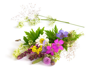 Bouquet of wild flowers on white background