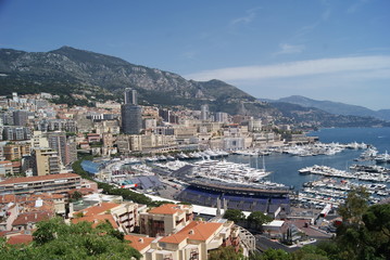 Obraz premium SONY DSC