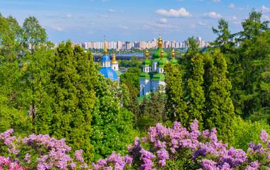 A chic landscape above the bushes of blossoming lilacs on the glistening dome of the church and the high houses of the city quarters standing on the river bank.