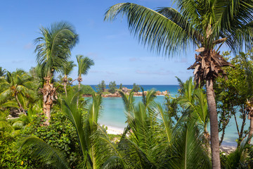 Blick über Palmen auf den Strand auf Praslin, Seychellen.