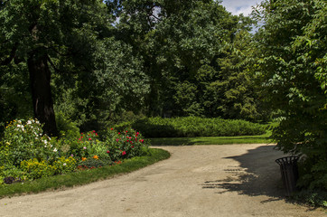 park  © wedrownik52