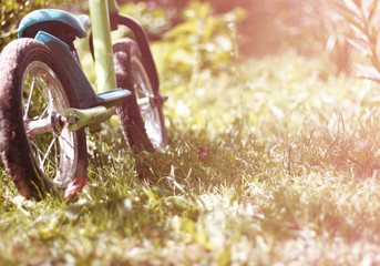 the balance  bike is on the grass