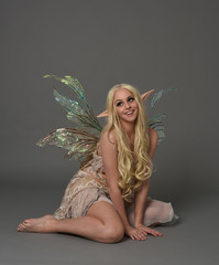 full length portrait a blonde girl wearing fairy costume. seated pose, on grey studio background.