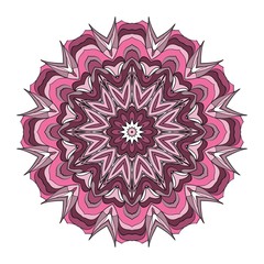Decorative Cicle Vector Shapes. Floral mandala. Vector illustration