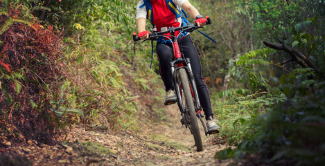 Naklejka na ściany i meble cyclist woman legs riding mountain bike on outdoor trail in forest