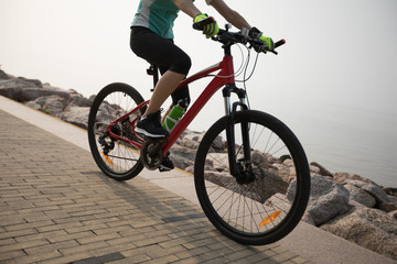 cyclist riding mountain bike on the coast trail