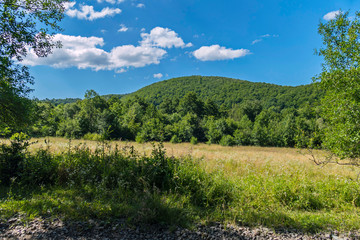 Scenic landscape of the forest top of the mountain on the background of azure blue sky with white clouds