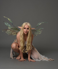 full length portrait a blonde girl wearing fairy costume. seated pose, on grey studio background.