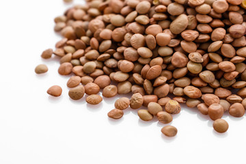 raw lentils on a white acrylic background