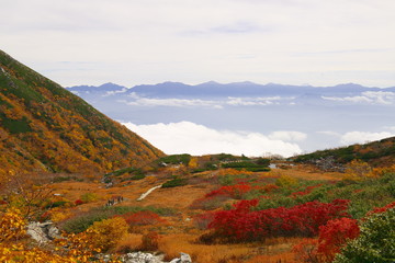 千畳敷カール（日本）
